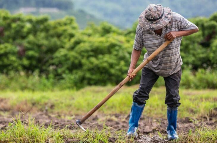 Imagem de compartilhamento para o artigo Investimento na agricultura familiar sobe 130% em edital de extensão em MS da MS Todo dia